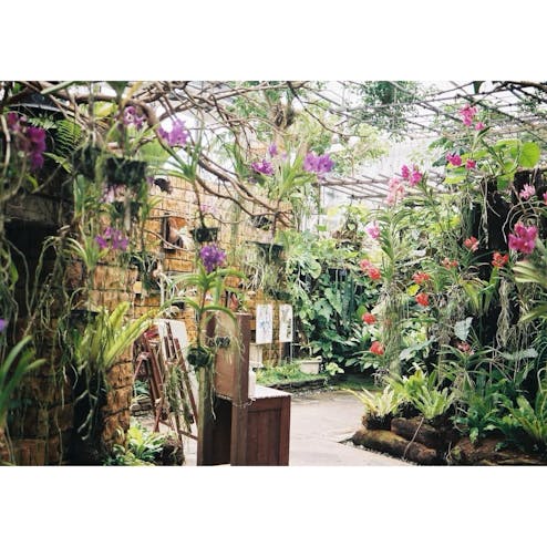 熱帯ドリームセンター