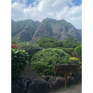 クアロア・ランチ

#ハワイ