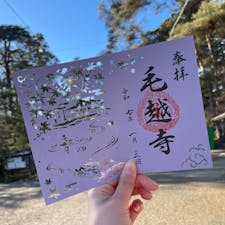【岩手県・毛越寺】

2025年1月3日

#岩手県　#平泉町　#毛越寺　#世界遺産　#初詣
