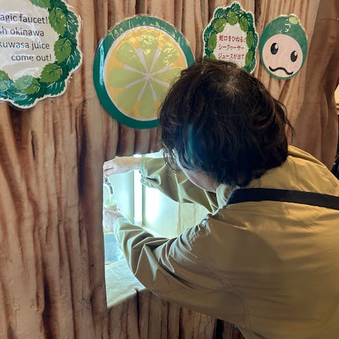 大宜味シークヮーサーパーク