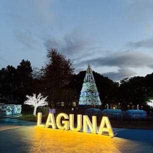 今季のイルミネーションは、
ラグーナテンボスのイルミネーション🎄
クリスマス直後の平日に行ったので空いてました😁✨