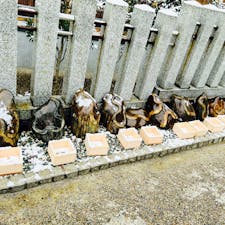宮城の金蛇水神社に行ってきた‼︎
蛇の形が浮かび上がった石✨