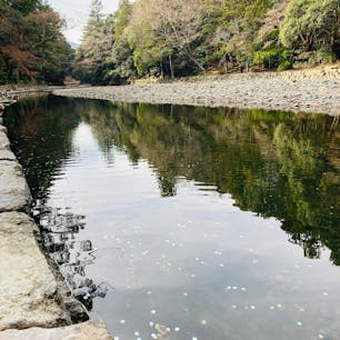 三重　伊勢
五十鈴川　御手洗場

たくさんの人が向かっていたので
一緒について行くと
水のきれいな川が