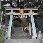 玉祖神社

大阪府八尾市にある神社
鶏が放し飼いになってて人慣れしてました
そばに水仙咲いていて綺麗でした
2025.1.26
