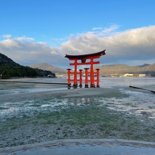 宮島に初めて行った。
本物は迫力があって素晴らしい。