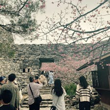 桜祭りへ行きました！
満開でした🌸