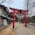 板宿八幡神社

兵庫県神戸市須磨にある神社

須磨アルプス、
人気の連山ハイキングの
最後にお参りしました
2025.2.1
