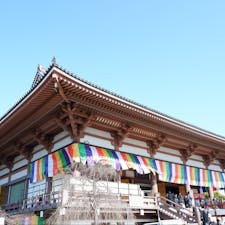 東京・足立区にある「西新井大師」。
十一面観音と弘法大師をまつる大本堂をはじめ、塩地蔵や奥の院などがあり、厄除けや方位除けしたい人におすすめです！

#東京 #西新井 #西新井大師 #厄除け #節分