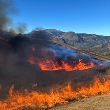 大室山の山焼きに参加しています
あっと言う間に燃え広がります