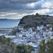 レモンの丘公園

和歌山市雑賀崎の公園からの景色です
イタリアのアマルフィに似てるとのことで
す
漁師町の景観が素晴らしい
ただ迷路のような道を歩いて辿り着きます
道中の写真も併せてます
2025.2.9