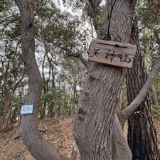 天神山

高津子山のすぐ隣り
すみません
山アプリでないとマップ位置難しいです
高津子山展望台が見えます
景観は見れますが展望台ほどでは無いですね
2025.2.9