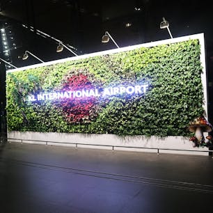 Kuala Lumpur International Airport (KLIA)- Terminal 1

クアラルンプール国際空港の朝の風景。
「森の中の空港、空港の中の森」をテーマに、サテライトビル内には森林トレッキングが体験できる「ジャングルボードウォーク（無料）」もありますが、8:00から19:00までしか入れないため、早朝便や深夜便だとなかなか体験できず。
アメリカ発の「Bath and Body Works」も近々オープンするようなので、KLIAでのショッピングがますます楽しくなりそうです♪

#kualalumpur #malaysia #KLIA #bluemoon
