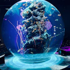 神戸アクアリウム