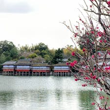 京都　長岡天満宮
錦水亭

池の向こうに