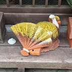 白藤龍王・白高大神

和歌浦天満宮の境内東側にあります
いろんな社がありました
巳年参りできますね
2025.2.9