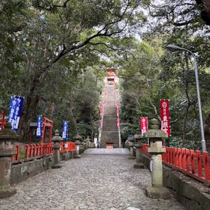 紀州東照宮

108の石段　侍坂を一気に登りました
石畳からの景色は見事ですね
2025.2.9