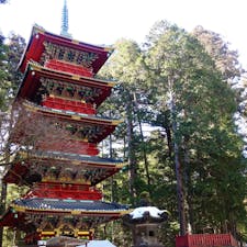 幼い頃から何度も訪れている日光東照宮。

訪れる季節によって違う表情を見せてくれます。

大人になって訪れると、目につく場所や感動場所が微妙に違ってくるのも味わい深いですね。


#栃木県 #日光市 #日光東照宮