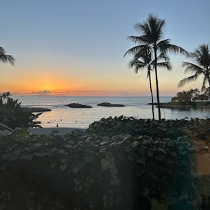 ハワイ旅行🌴