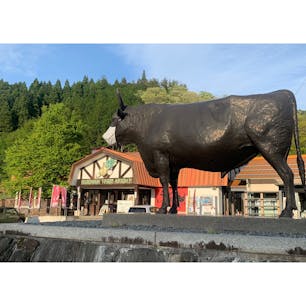 多分ここの料理の写真…