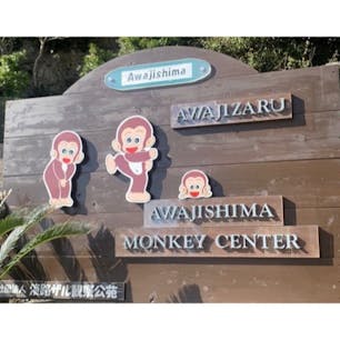 淡路島モンキーセンター🐵
ちょっと遠いなぁ〜