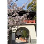高砂市の新井神社です。
うさぎの入った直書き御朱印が可愛いですよ〜