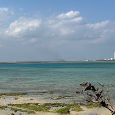 沖縄(本島)