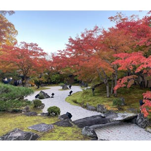 紅葉の円通院🍁