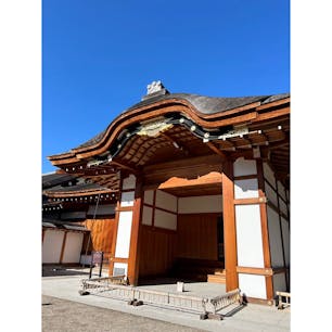 名古屋城の本丸御殿
綺麗でしたよ✨