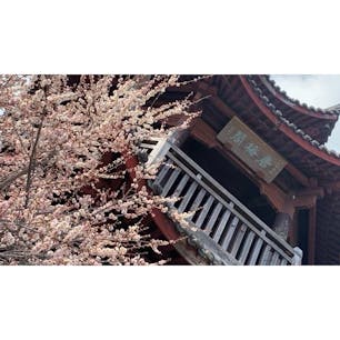 お弁当を食べるのもいいよ〜