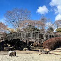 【山下城跡公園】in群馬県桐生市

ロウバイの木が公園の周りに沢山あり黄色の綺麗な花でいい匂いが漂っていました🌼
ロープの遊具や長ーいローラー滑り台もあり、芝生の広場はほぼ斜面だったのて子供も大人もいい運動でした✨

2025.2.24❄️