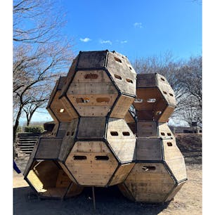 【嶺公園】in群馬県前橋市
冒険の森✨

蜂の巣のような木のボックス遊具、童話に出てくるような可愛い遊具などが✨
遊具の中などに色々な動植物が隠れていてそれを探すのもとっても楽しい！！
夏には水遊び場も出来るようなので1年通して楽しい公園✨
梅の花も咲き始めていました✨


2025.2.24🍂