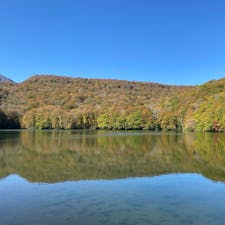 紅葉にはちょっと早かった蔦沼。沼をつなぐ散策路も緑がわさわさで気持ち良いです。