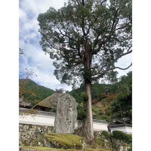 達身寺
木彫仏像は感動しますよ🥹