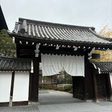 Forni
リーズナブルなのに、
おしゃれで美味しかった♡ 
二条城の前にあって、春は桜が綺麗みたい🌸

女子とおしゃれして
行きたいお店♡

記念日にまた行こう♡