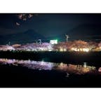 夜桜もきれいです。
朝6時台でも普通に人がいますので、混雑は覚悟していきましょう。
海岸から登る朝日と一緒に見るのがおすすめ。