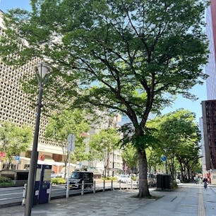 仙台 青葉まつり 2024