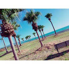 【三重県】
ハワイアンな海岸が三重県にあります！
数多くのヤシの木がそこら中にあるためまるで異国にいるような気分です。笑

少し先に進むと和歌山県に入ります^_^
なので和歌山に行く機会がありましたら寄り道して、
ハワイアンな雰囲気、熊野灘の綺麗な景色を味わってみてはどうですか？😌