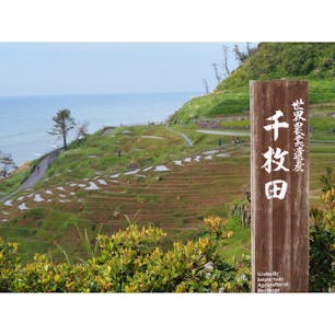 【石川県】
世界農業遺産に認定されている
農業の聖地「白米千枚田」です😌