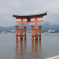 広島旅行
宮島
厳島神社
ずっと行ってみたいと思っていた厳島神社に行けて念願が叶いました✨