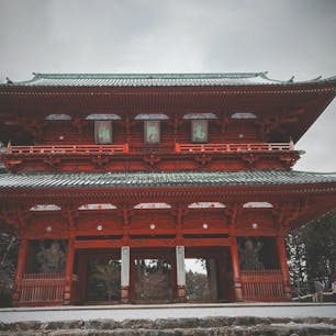 和歌山旅行。近畿は帰省の時寄るけど和歌山はなかなか寄ることないのでよかった。食、観光、雰囲気全てがよかった。高野山は仏教の聖地と感じ、和歌山ラーメンは地元徳島ラーメンと似てる味わいだった。雑賀崎は日本ならではの漁港の景色の中にどこかイタリアのアマルフィを感じさせてくれた。さすが東洋のアマルフィと言われているだけある。