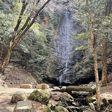 琴滝
京都府船井郡に有る琴滝
此の時期は水量が少ないですね。

此の映画のロケ地ですね、
最近のTV時代劇は三屋清左衛門残日録が有りますね、
どうでも良い事ですが、オイラね、フィリピンで映画やTVドラマのエキストラをして食い繋いで居ました😅

#サント船長の写真