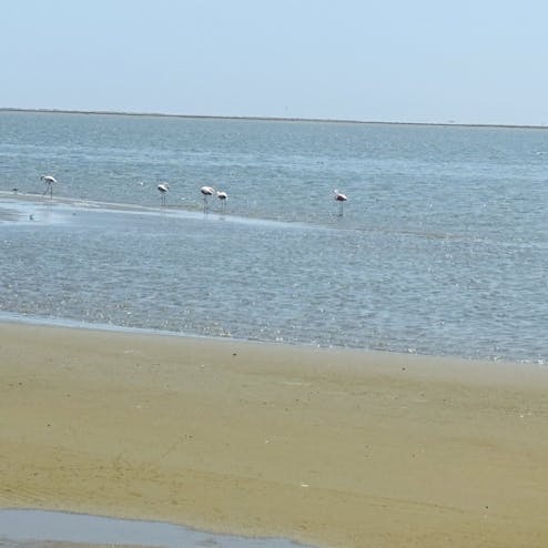 ウォルビス・ベイ・ラグーン