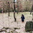 京都　城南宮

入ってはダメよ