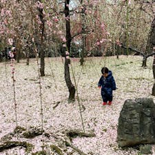 京都　城南宮

入ってはダメよ