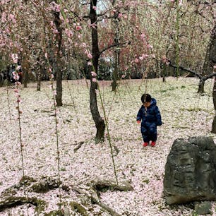 京都　城南宮

入ってはダメよ