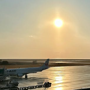 山口宇部空港
家族が大谷さんの試合を観戦しに行くのでお見送り^_^