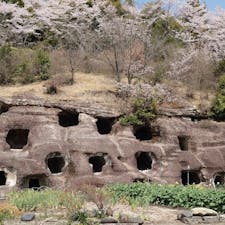 栃木の県指定史跡にもなっている長岡百穴古墳。
現在見られる横穴は52基です。国道沿いにあり気軽に見学可能です。


#栃木県 #長岡百穴古墳