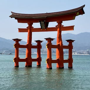 安芸の宮島
JR線のフェリーに乗って宮島へ
外国からの観光客が多くて大混雑😳
カキや揚げもみじを食べ歩き✨
美味しかった😊