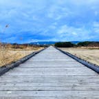 京都　上津屋橋

流れ橋