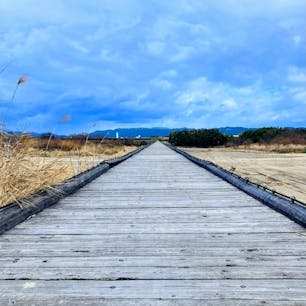 京都　上津屋橋

流れ橋